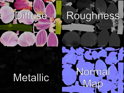 Orchid Flower D Model Pack Low-poly 3D model