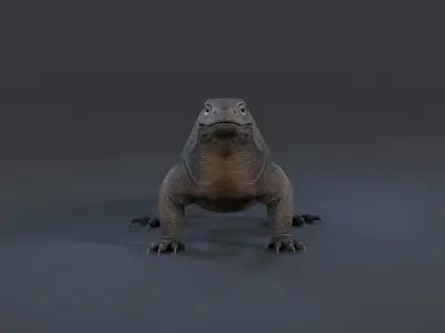 KOMODO DRAGON Low-poly 3D model