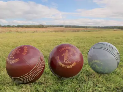 Red and White Cricket Balls 3D model