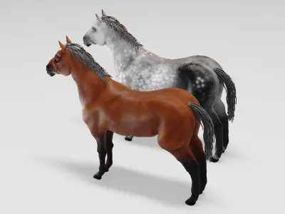 Male stallion horses 3D model