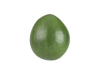 Photorealistic Avocado 3D Scan 3 3D model