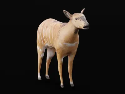 Eastern Bongo Female Antelope  Low-poly 3D model
