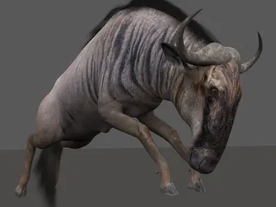 Wildebeest PRO Low-poly 3D model