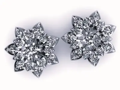 Earrings Free 3D print model