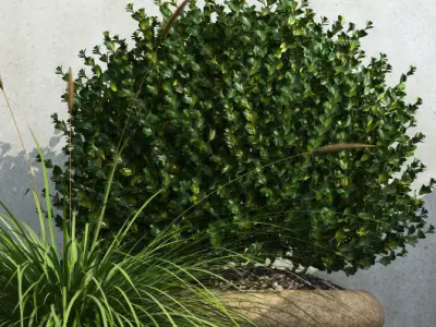 plant 36 Outdoor Planters 3D model