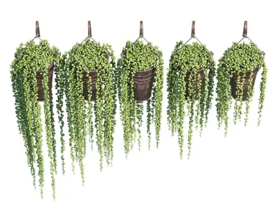 Mont pleasant 3D model