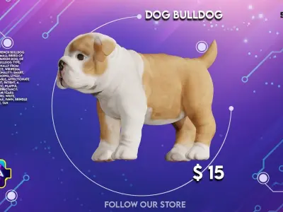 Dog bulldog breed  Low-poly 3D model