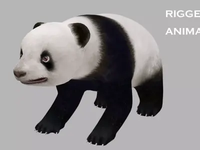 animated panda Low-poly 3D model
