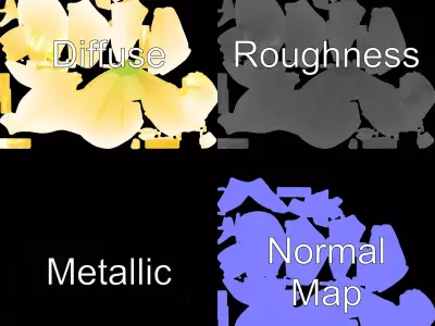 Elegant Lily Flower model pack Low-poly 3D model