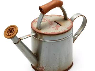 Rustic Watering Can Piggy Bank Low-poly 3D model