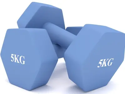 Dumbbells 5kg 3D model