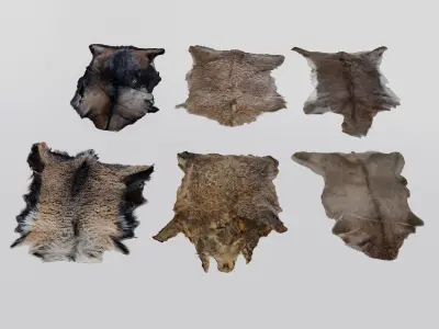 animal pelts volume one Unreal and Unity  Low-poly 3D model