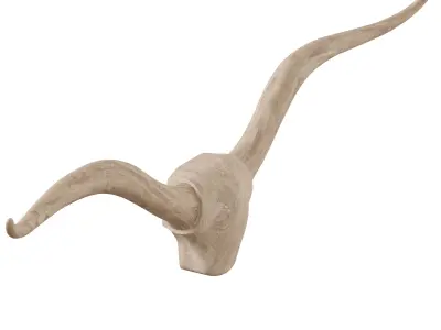 Longhorn Wall Art by PotteryBarn 3D model