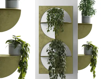 wall plant - set Indoor plant 365 plants in on a shelf Low-poly 3D model