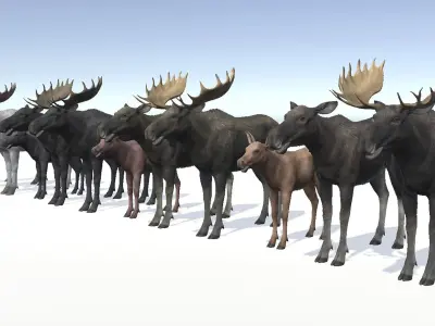 MOOSE FAMILY Low-poly 3D model