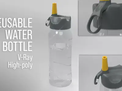 Reusable Water Bottle 3D model
