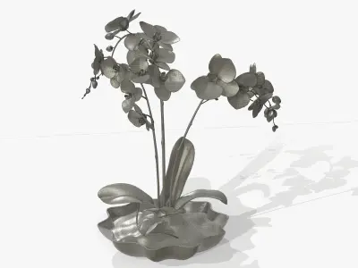 Orchidaceae orchid in vase 3D model