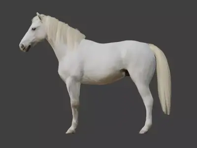 Animated White Horse 3D model