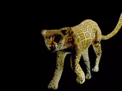 leopard Low-poly 3D model
