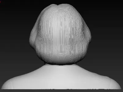 Dr A P J Abdul Kalam 3D Printable Model  3D print model