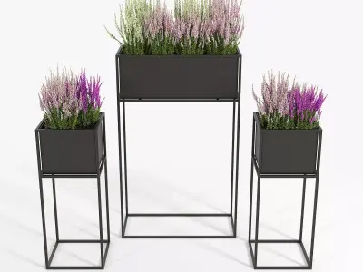 Calluna three metal planters with flowers 3D model