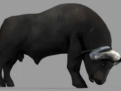 BUFFALLO RIGGED ANIMATED 12 Low-poly 3D model