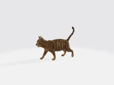 Cat High poly 3D model
