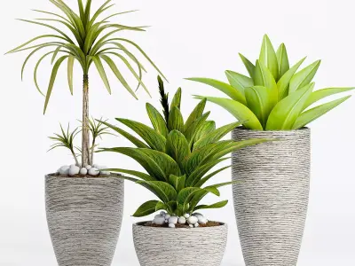  Decorative plant set-7 3D model