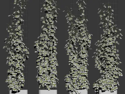 4 models of ivy on a wire rack in a planter 3D model