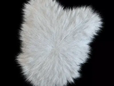 Sheepskin rug 3D model