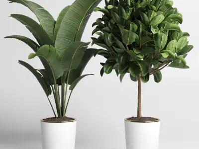 collection Indoor plant 39 -concrete vase Low-poly 3D model