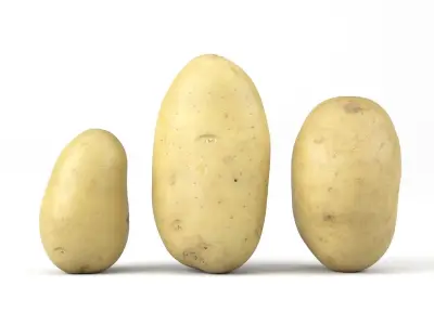 Three Different Photorealistic Potato 3D Scans 3D model