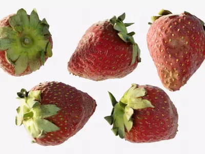 Scanned Strawberry Berry Low-poly 3D model