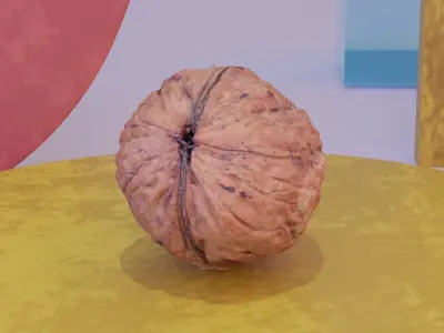 Walnut fruit 03 high-poly 3D model