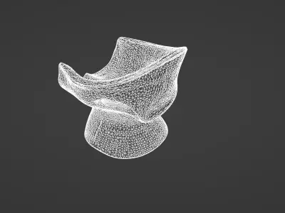 Sculptural Organic Wood Armchair 3D model