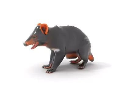 Tasmanian Devil Realistic model pack Low-poly 3D model