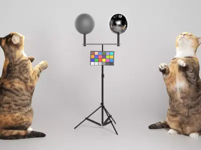 Calico cat 10 Low-poly 3D model