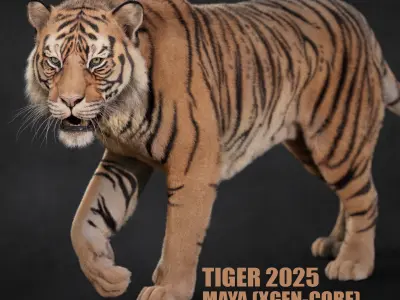 Tiger 2025 B RIG Xgen core 3D model