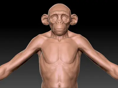 Monkey gameready PBR chimpanzee Low-poly 3D model
