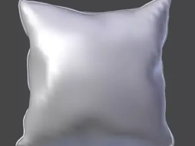 Voyage Cushion- Flowers -Piped Pillow 3D model