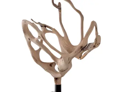 Large Natural Teak Root Wood Sculpture 3D model