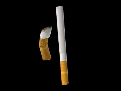 Cigarette kit - 2 models 3D model