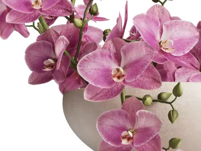 Sculpted Serenity Pink and White Orchids 3D model