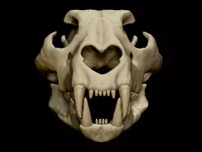 Lion Skull 3D model