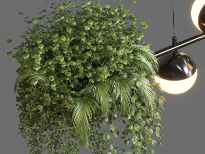 pendant light plant Indoor  outdoor plants hanging pot 3D model