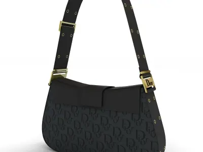 Dior Street Chic Bag Black Print 3D model