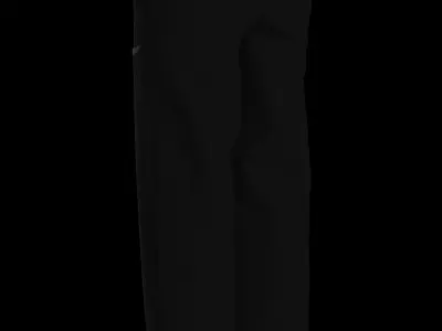 Male cotton canvas pant 3D model