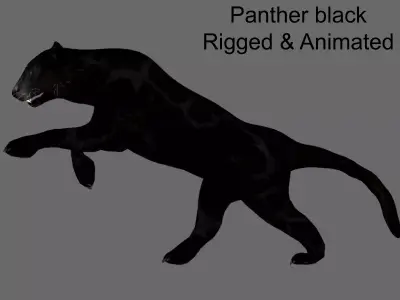 Panther black animations 3D model
