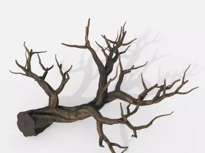 Aquarium Snag V21 3D model