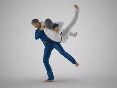 Judo Championships 3D print model